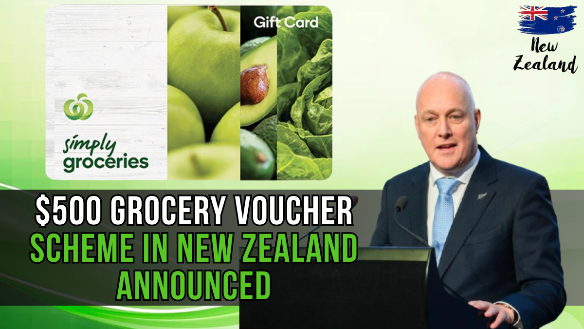 NZ $500 Grocery Voucher Scheme: Your Complete Guide to Relief